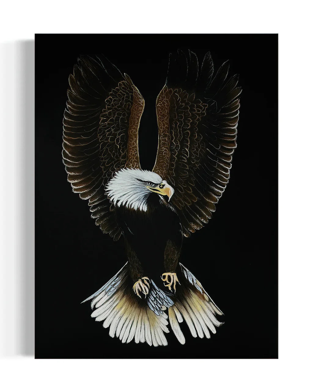 Original Painting of Bald Eagle-Valiant by Sonia Malboeuf