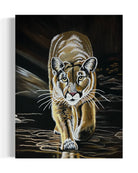 Mountain Lion-Kojo original  painting by Sonia Malboeuf